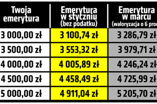 6% Waloryzacji. Tak rząd chce ulżyć emerytom.