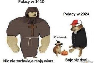 Tak się śmieją z Polski i Polaków! TOP 40 najśmieszniejszych memów
