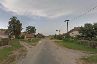   Lwowiec nazywany jest bocianią wioską. Wyjątkowa wieś w woj. warmińsko-mazurskim