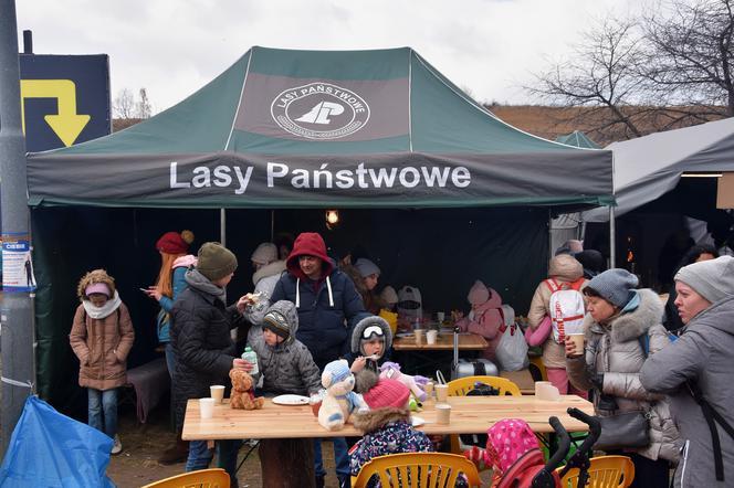 Pomagają, bo mundur leśnika zobowiązuje zdjęcie otwierające