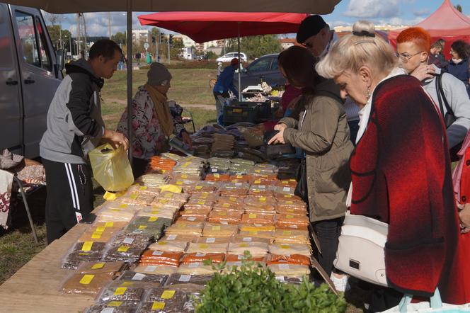 Piknik Wiejskiej Żywności, czyli radosne biesiadowanie w Fordonie [ZDJĘCIA] 