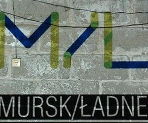 Mursk-Ładne w kolorze. Projekt społeczno-artystyczny na Kujawach