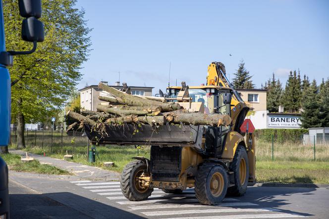 Ekolodzy przykuli się do drzew