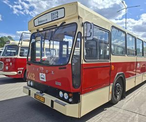 II Zlot Zabytkowych Autobusów w Starachowicach