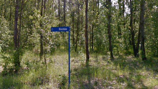Biechów