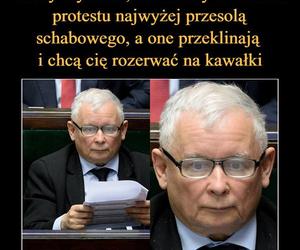 Najlepsze memy z okazji 75. urodzin Jarosława Kaczyńskiego. Te obrazki rozbawią cię do łez!