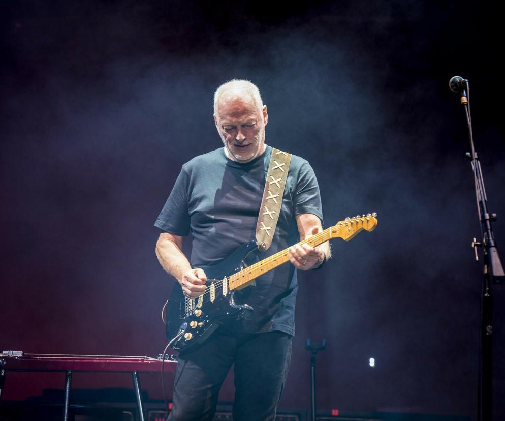 David Gilmour pracuje nad nowym albumem! Co szykuje muzyk Pink Floyd