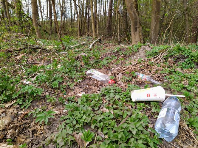 Niestety, wciąż nie wszyscy pamiętają o tym, że korzystając z uroków terenów leśnych, należy zachować się kulturalnie i po sobie posprzątać...
