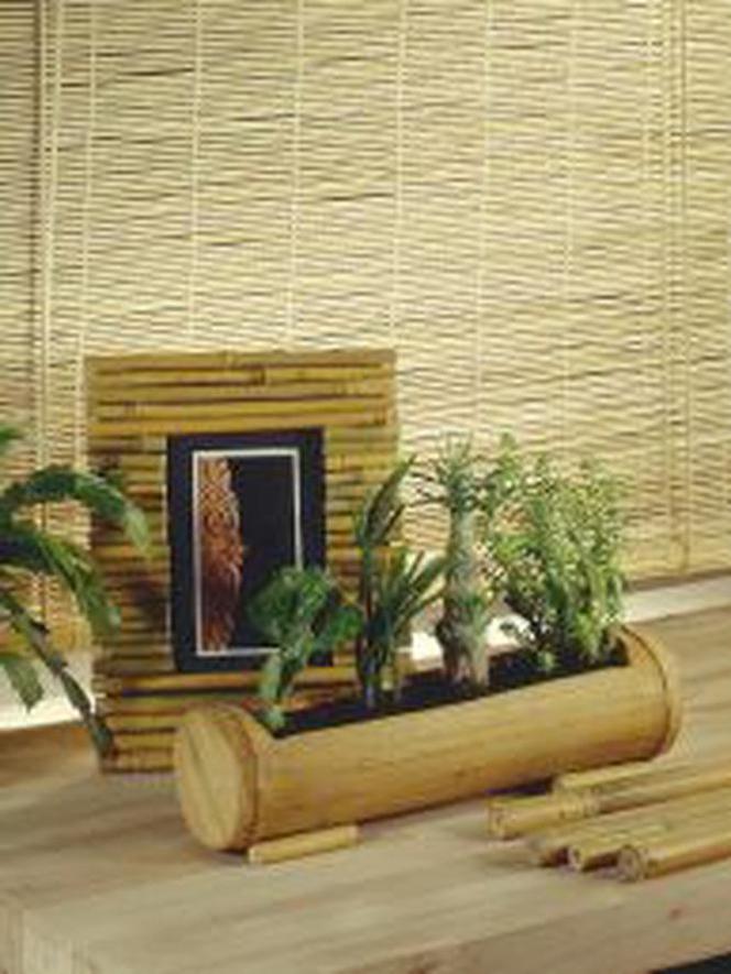 Dodatki z bambusa
