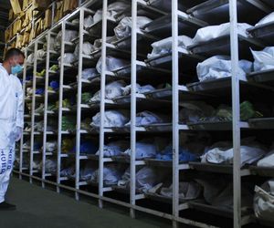 Bogacze płacili za polowania na ludzi? Szokujące oskarżenia