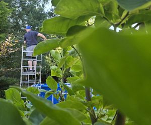 Wczasy po Polsku wiceprezesa Czarnka