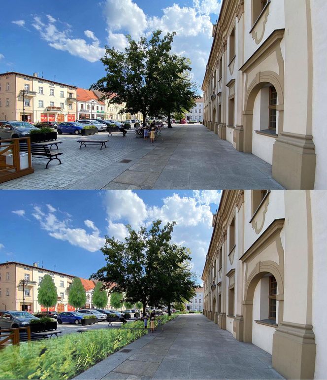 Ma rynku w Rawiczu będzie więcej zieleni