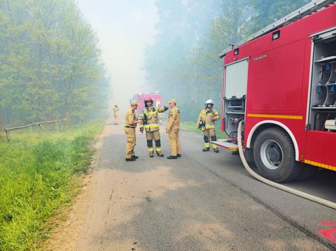 Pożar lasu w Snochowicach