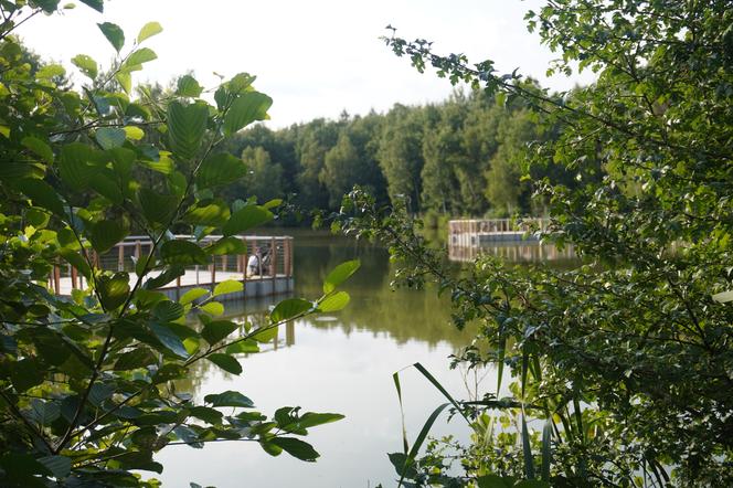 Park Leśny Tetmajera w Bronowicach