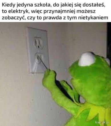 Międzynarodowy Dzień Elektryka. Najlepsze memy o elektrykach i ich pracy, które rozbawią do łez