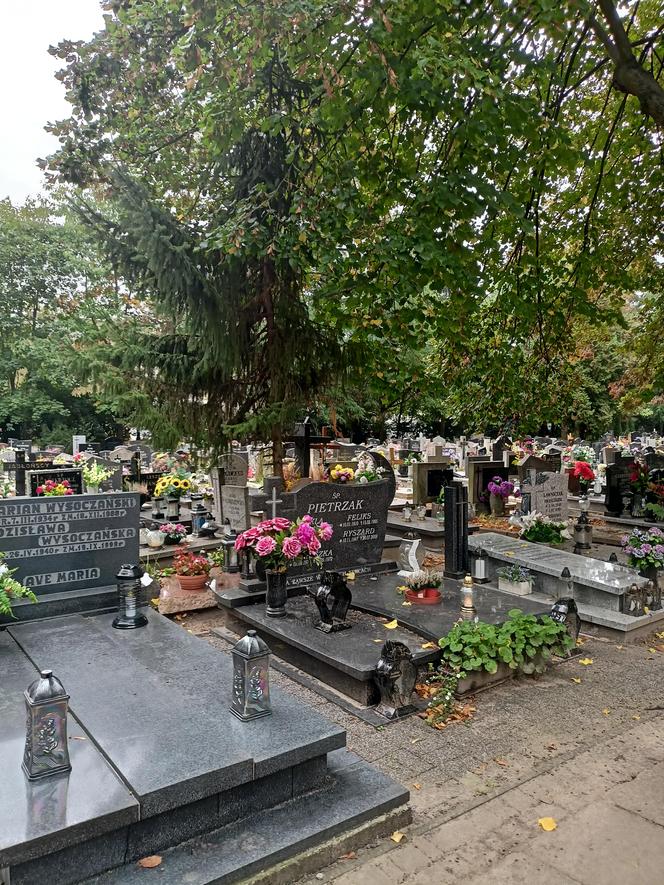 Ceny zniczy i wiązanek. Cmentarz Winiarski - Piątkowo Poznań