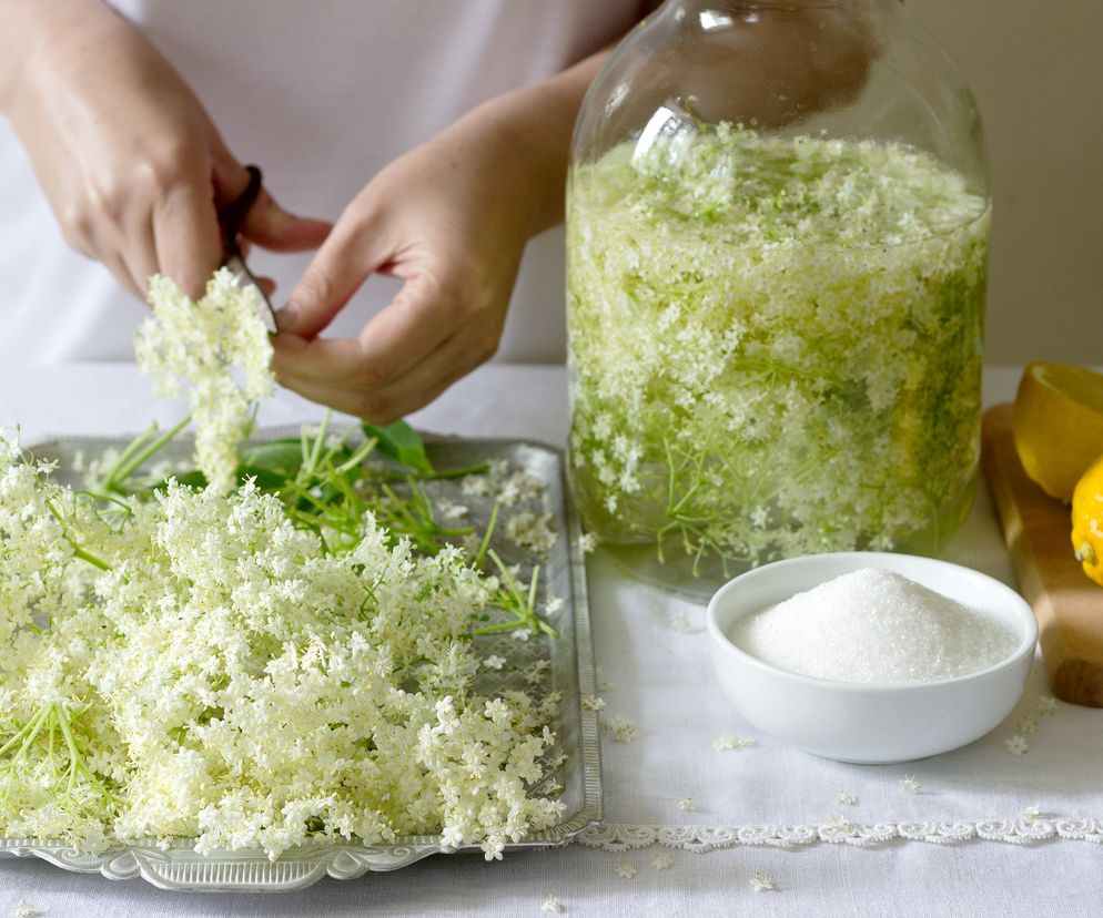 Babcine remedium na grypę, reumatyzm i cukrzycę. Zrób sobie syrop