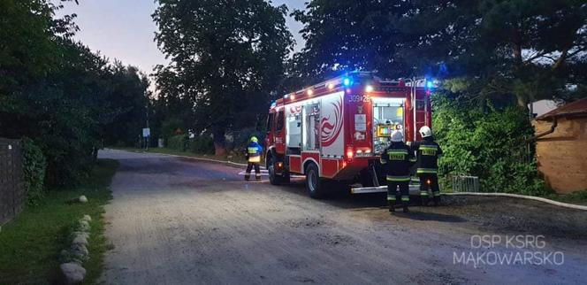 Pożar smażalni ryb w pod Bydgoszczą! Ogromne straty [ZDJĘCIA]