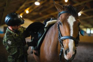 8 koni w służy w Bieszczadzkim Oddziale Straży Granicznej. Zobacz jakie są piękne! [ GALERIA, WIDEO, AUDIO]