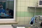 Messi. Operacja psa z dziurą w przemyskiej lecznicy ADA (GALERIA)