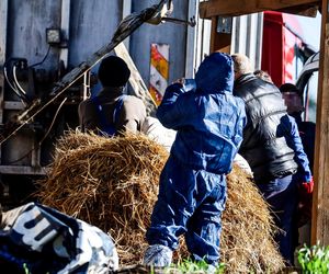 Potworny los zwierząt w Idzbarku. To była umieralnia. Gospodarz usłyszał zarzuty!