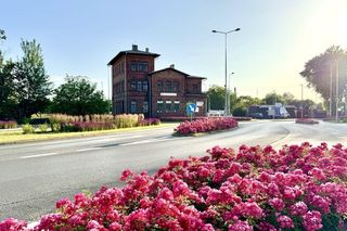 Starachowice. To najbardziej ukwiecone miasto świętokrzyskiego