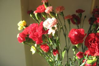 Dzień Kobiet. Wiemy, ile wydadzą mężczyźni na prezenty dla kobiet