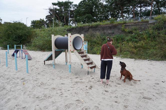 Jedyne takie miejsce na plażowej mapie Gdańska. Właściciele psów powinni o nim wiedzieć!