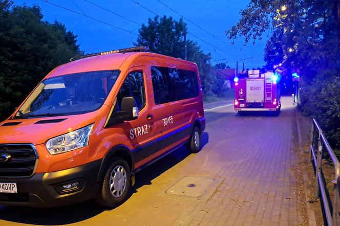 Śmiertelne potrącenie przez pociąg w Katowicach. Tożsamość denata nie jest znana