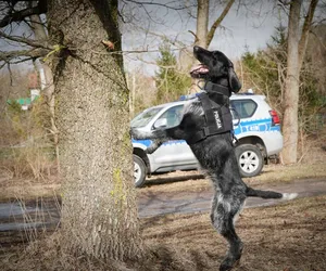 Nowy funkcjonariusz w ełckiej policji. Przed Gamą nic się nie ukryje! 