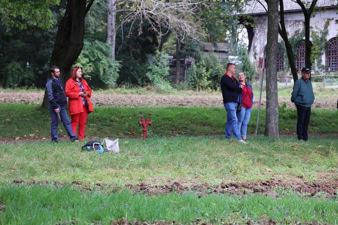 Wykopki kartoflane 2023 w lubelskim skansenie