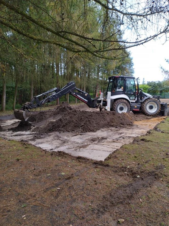 Nutrie w Rybniku są już odławiane