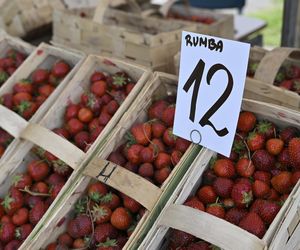  Ceny nowalijek na warszawskich bazarach szokują. Byliśmy i sprawdziliśmy ile trzeba zapłacić
