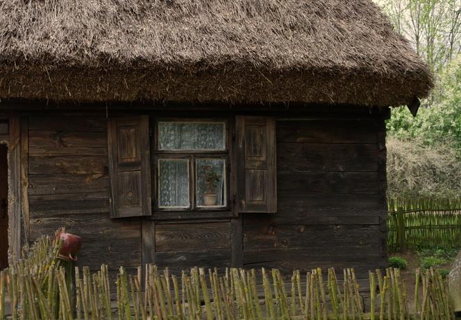 Muzeum Wsi Mazowieckiej - skansen w Sierpcu