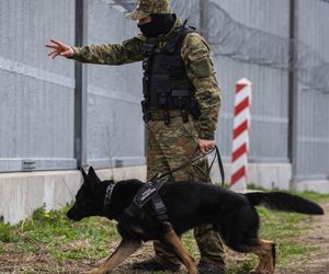 Wraca temat żołnierza, który przekroczył uprawnienia w Dubiczach Cerkiewnych. Nie przyznaje się do winy