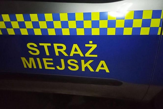 Liczenie osób w kryzysie bezdomności w Szczecinie