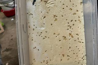 Narkotykowe laboratorium na Podlasiu. Policja zabezpieczyła ponad 200 kg nielegalnej substancji