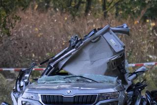 Tragedia we Wrocławiu. Pojechali z psem na spacer, zabiła ich wichura 