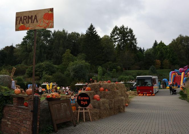 Farma dyń 2023 w Lublinie. Tak było w weekend otwarcia!