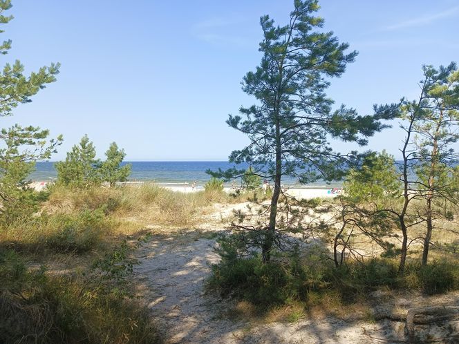 Plaża Karwia