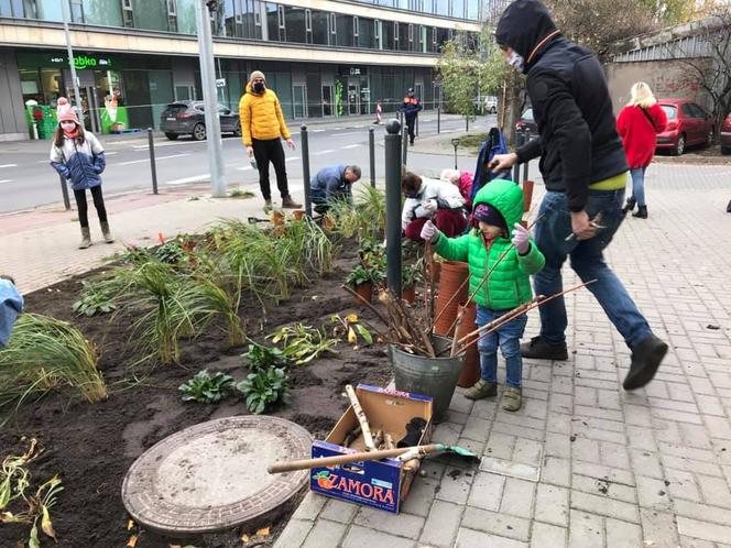 Nowy, zielony skwerek na Szyperskiej