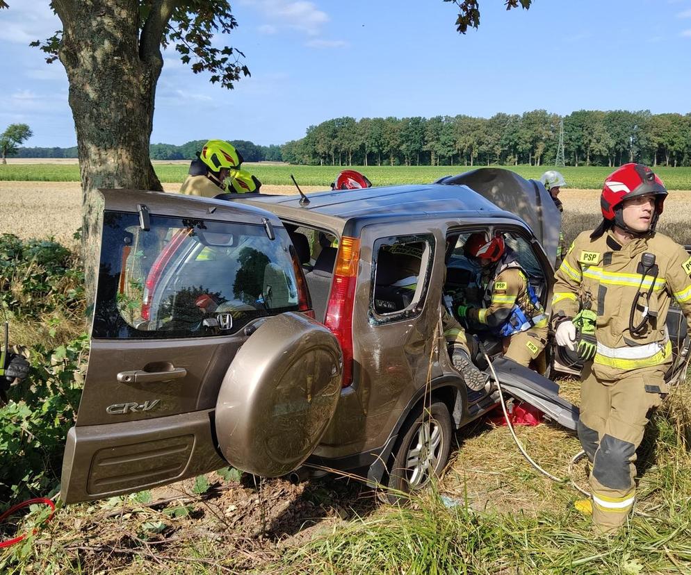 Tragedia pod Opolem. Samochód rozbił się na drzewie. Nie żyje 20-latka, jej 14-letnia siostra walczy o życie w szpitalu