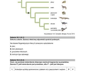 Biologia arkusze MATURA 2024 rozszerzenie FORMUŁA 2015