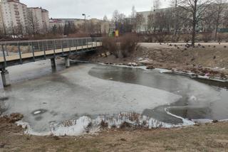 Skrajna nieodpowiedzialność w parku nad Balatonem