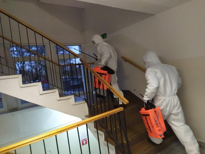 Terytorialsi zdezynfekowali budynek Starostwa Powiatowego w Braniewie