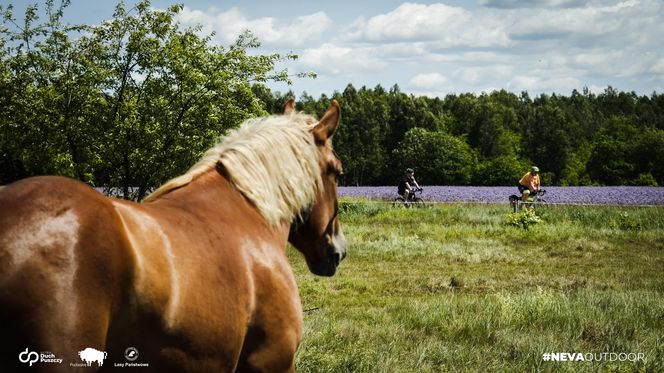 Ultra Duch Puszczy – sześć tras, tysiące emocji i jeden Duch, który jednoczy ludzi i rowery