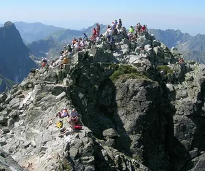 Turyści w Tatrach robią sobie z tym zdjęcia na szlaku. Tatrzański Park Narodowy: Problem jest nam znany