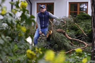 Michał Kamiński. Tytan ogrodnictwa 