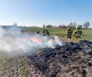 Ponad tysiąc pożarów w jeden dzień!