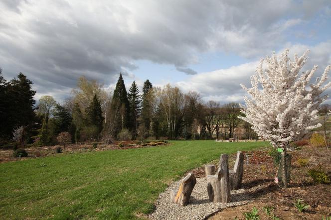 Arboretum Wojsławice prezentuje pełną paletę barw